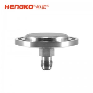 供應(yīng)半導(dǎo)體大宗氣體終端晶圓制程工藝氣體全金屬氣體過濾器