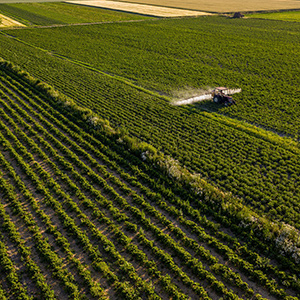 農(nóng)業(yè)大棚溫濕度監(jiān)控系統(tǒng)的升級(jí)方案有幾種呢？