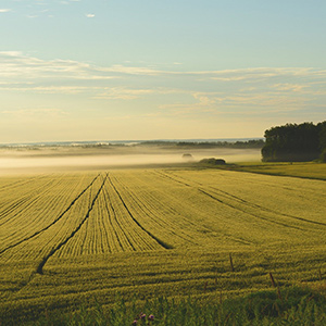 農(nóng)業(yè)大棚溫濕度監(jiān)控系統(tǒng)如何進(jìn)行升級(jí)呢？